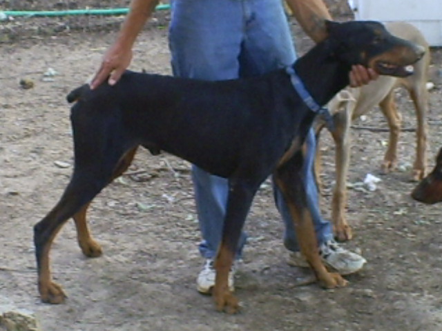 s5030828.jpg
