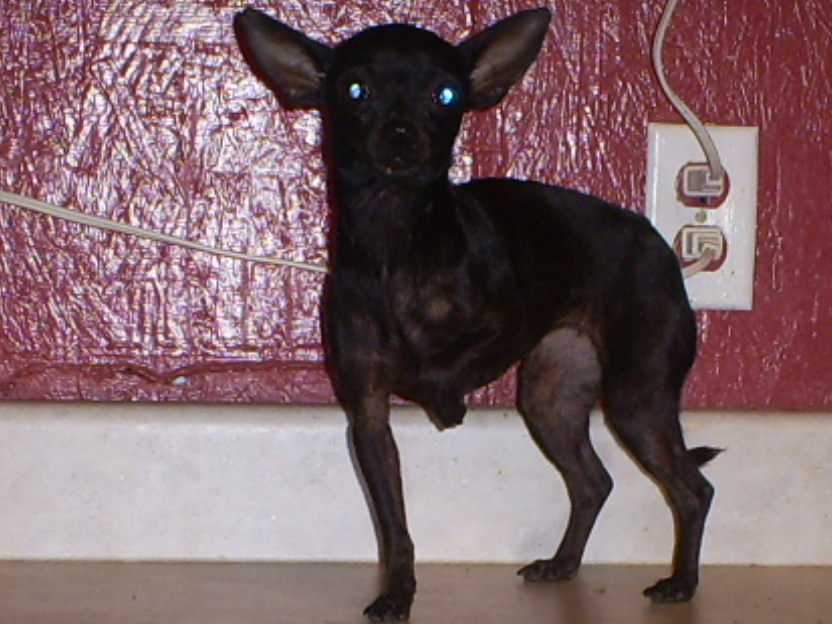 s5030835.jpg